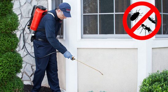 Karatay Kemirgen İlaçlama böcek ilaçlama ve haşere kontrolü — ilaclama-tr.com